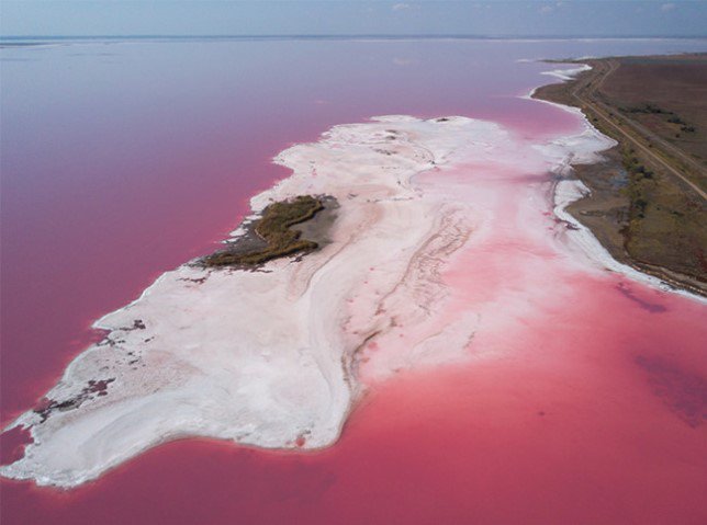 Розовое озеро Rest